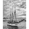Bob Andrews: Schooner Linden Coming Alongside